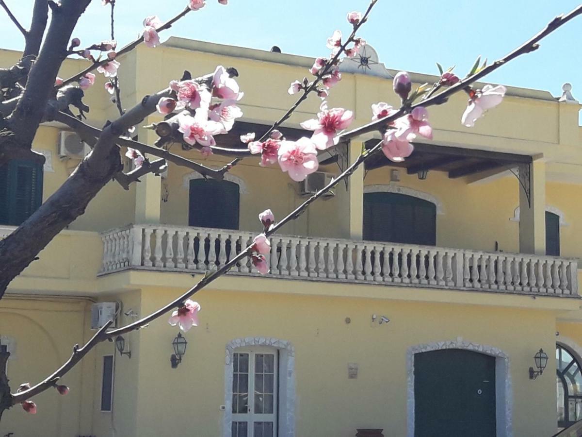 Agriturismo L' Annunziata Лизано Екстериор снимка